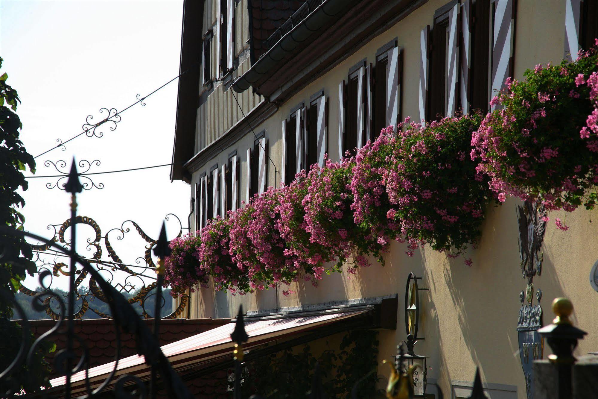 Hotel Brauereigasthof Landwehr-Braeu Reichelshofen Zewnętrze zdjęcie